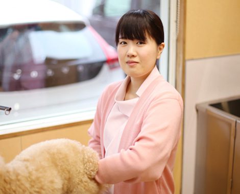 staff006